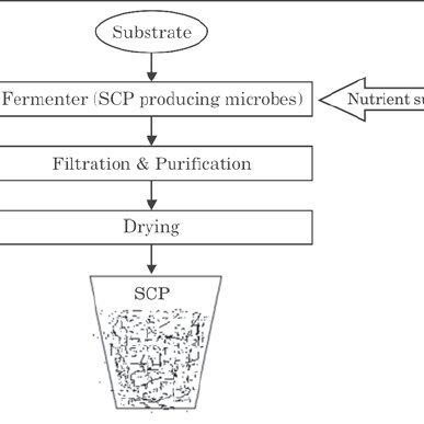 SINGLE-CELL-PRODUCTION