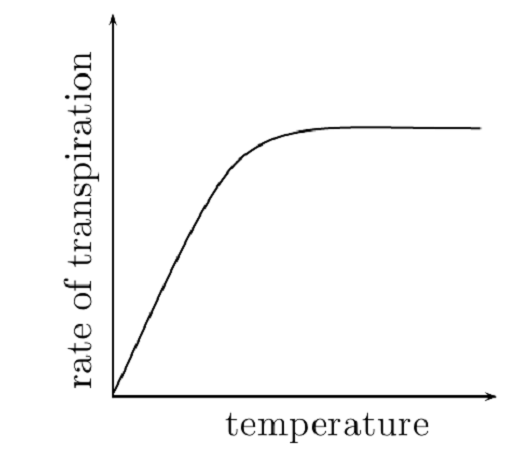 Transport In Humans & Plants