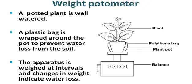 Transport In Humans & Plants