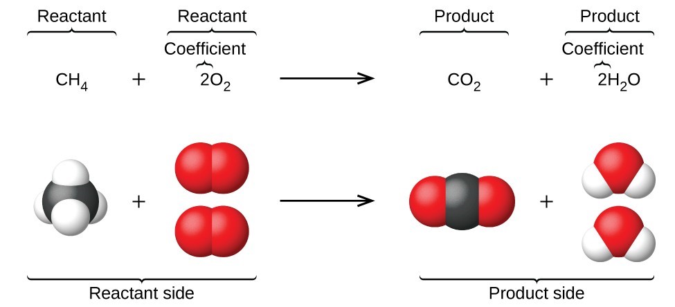 Chemical Equations