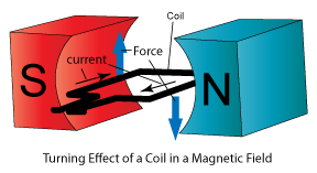 Force on current-carrying rectangular coil in a Magnetic field