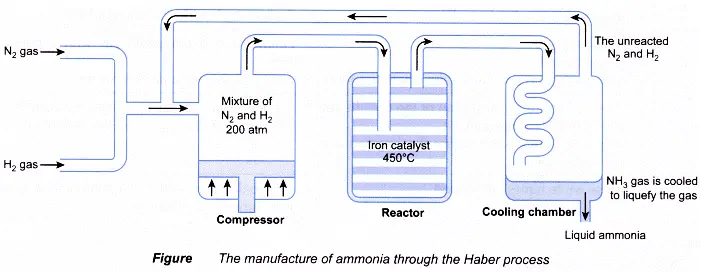 Manufacturing of Ammonia by the Haber Process