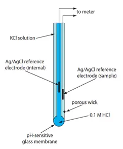 Selective and Gas Sensitive Electrodes