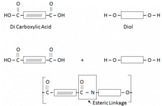 Terylene