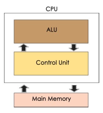 Central Processing Unit